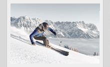       skiwelt    skiwelt 
